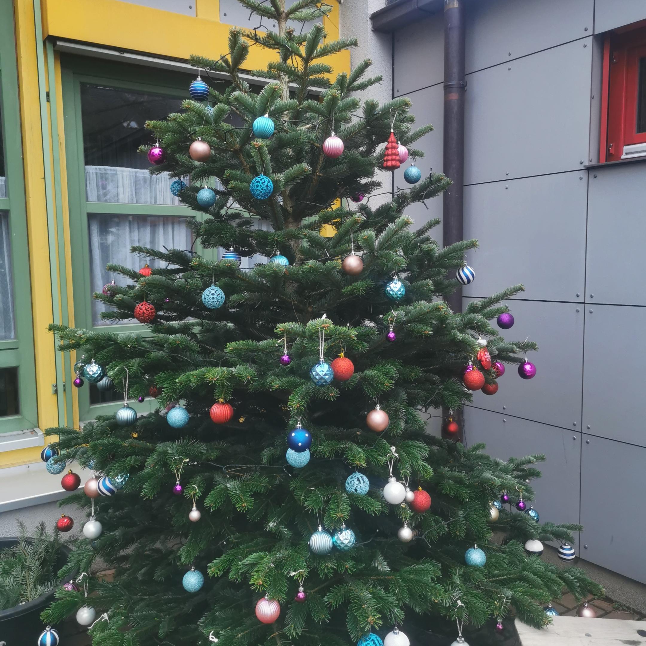 Tannenbaum Dezember 2023