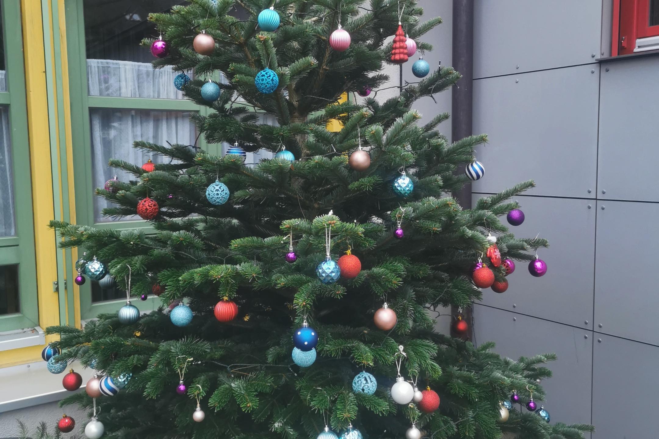Tannenbaum Dezember 2023